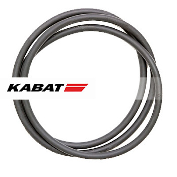 Уплотнительное кольцо PGK253/OR10/49	Oring 49"x10